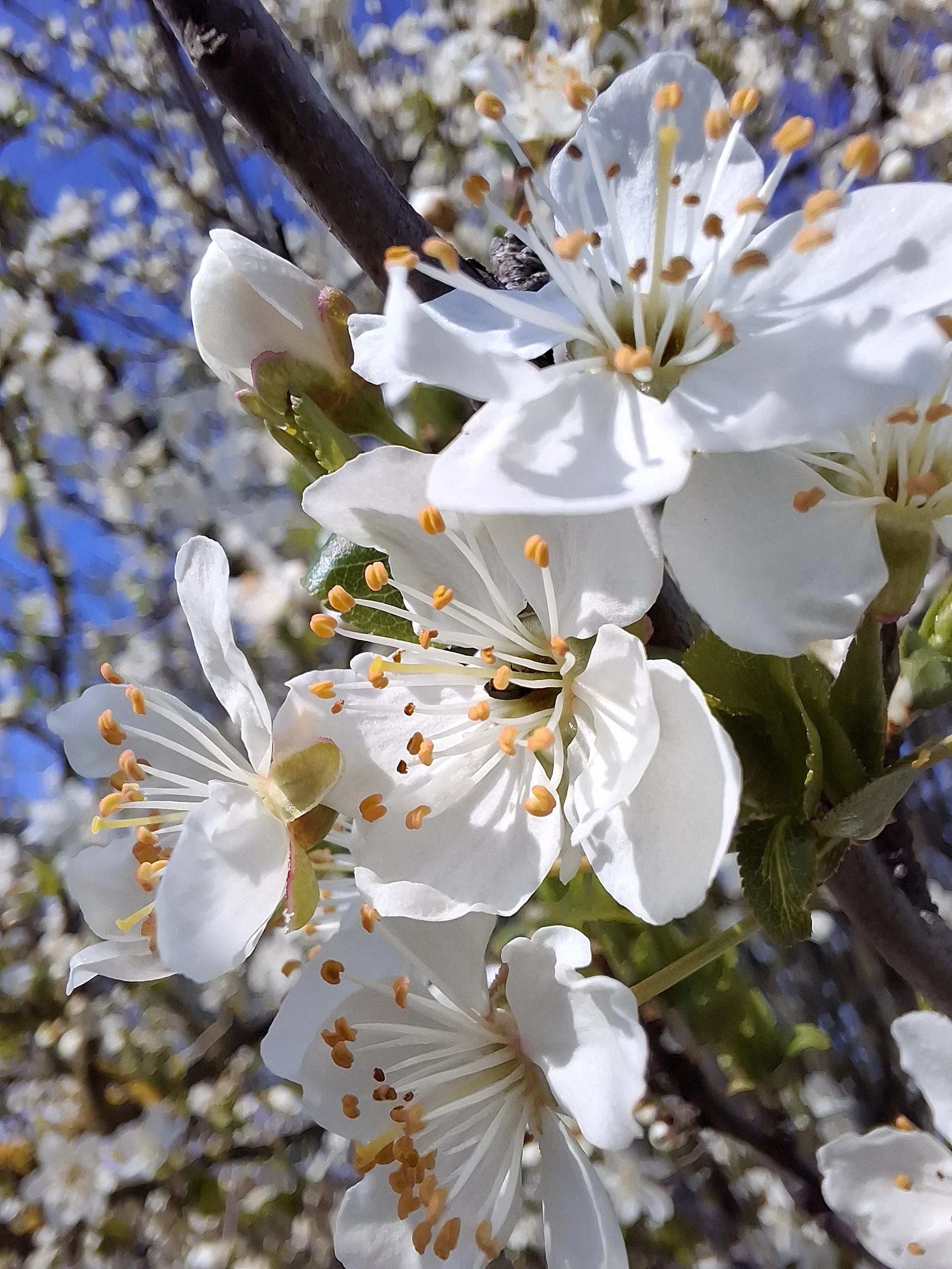 Gegenstand 2